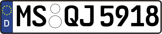 MS-QJ5918
