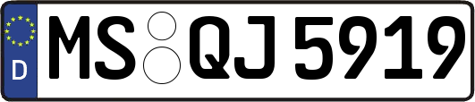 MS-QJ5919