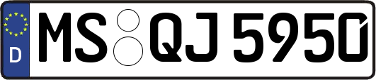MS-QJ5950
