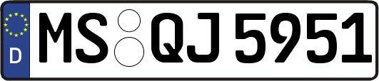 MS-QJ5951