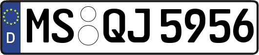 MS-QJ5956