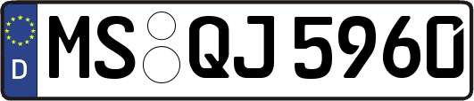 MS-QJ5960