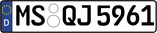 MS-QJ5961