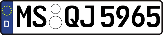 MS-QJ5965