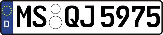 MS-QJ5975