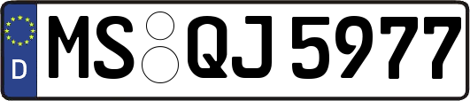 MS-QJ5977