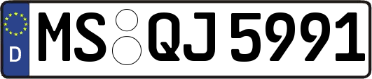 MS-QJ5991