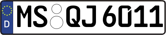 MS-QJ6011