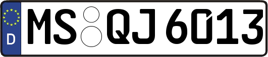 MS-QJ6013