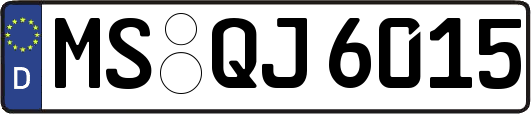MS-QJ6015