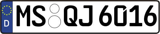 MS-QJ6016