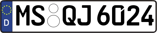 MS-QJ6024