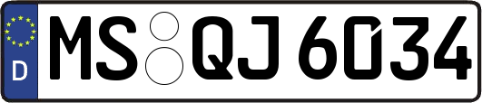 MS-QJ6034
