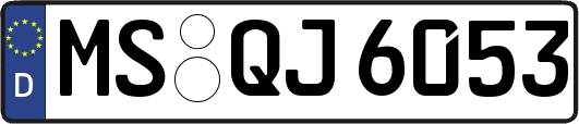 MS-QJ6053