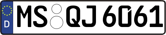 MS-QJ6061