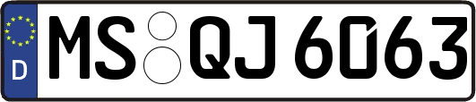 MS-QJ6063