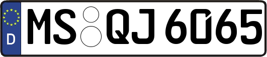 MS-QJ6065