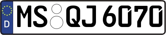 MS-QJ6070
