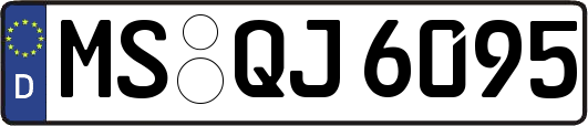 MS-QJ6095