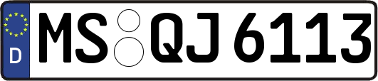 MS-QJ6113