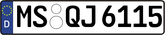 MS-QJ6115