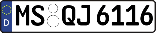 MS-QJ6116