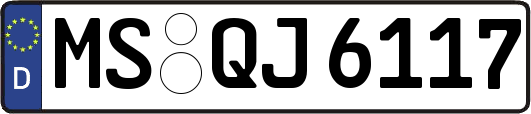 MS-QJ6117