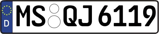MS-QJ6119