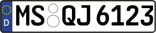 MS-QJ6123