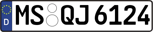 MS-QJ6124