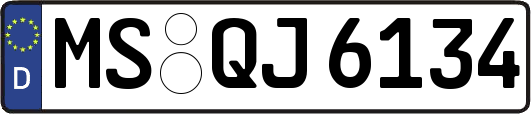 MS-QJ6134