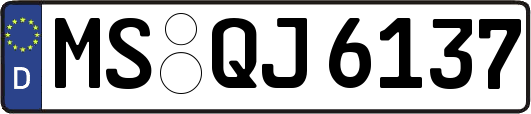 MS-QJ6137