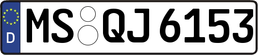 MS-QJ6153