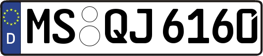 MS-QJ6160