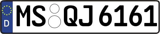 MS-QJ6161