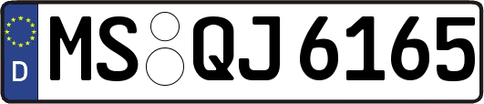 MS-QJ6165