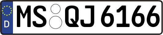 MS-QJ6166