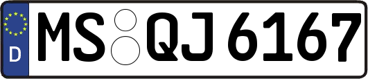 MS-QJ6167
