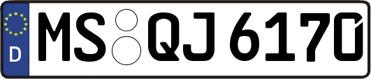 MS-QJ6170