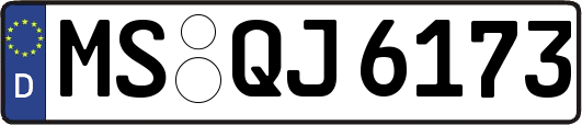 MS-QJ6173