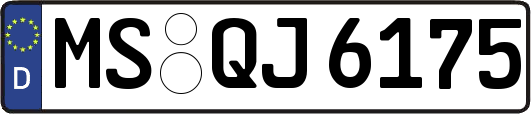 MS-QJ6175