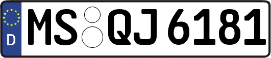 MS-QJ6181