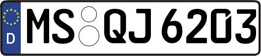 MS-QJ6203