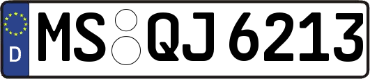 MS-QJ6213