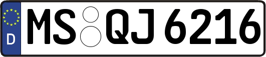 MS-QJ6216