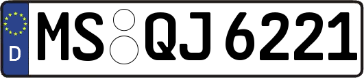 MS-QJ6221