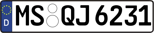 MS-QJ6231