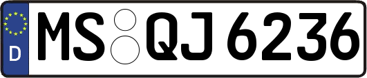 MS-QJ6236