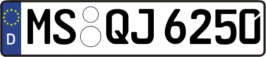 MS-QJ6250