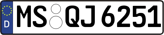 MS-QJ6251